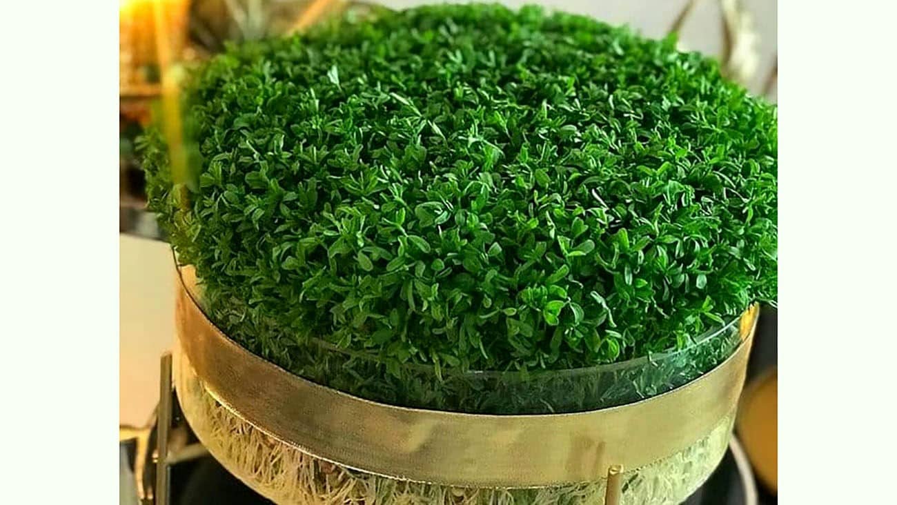 سبزه عید