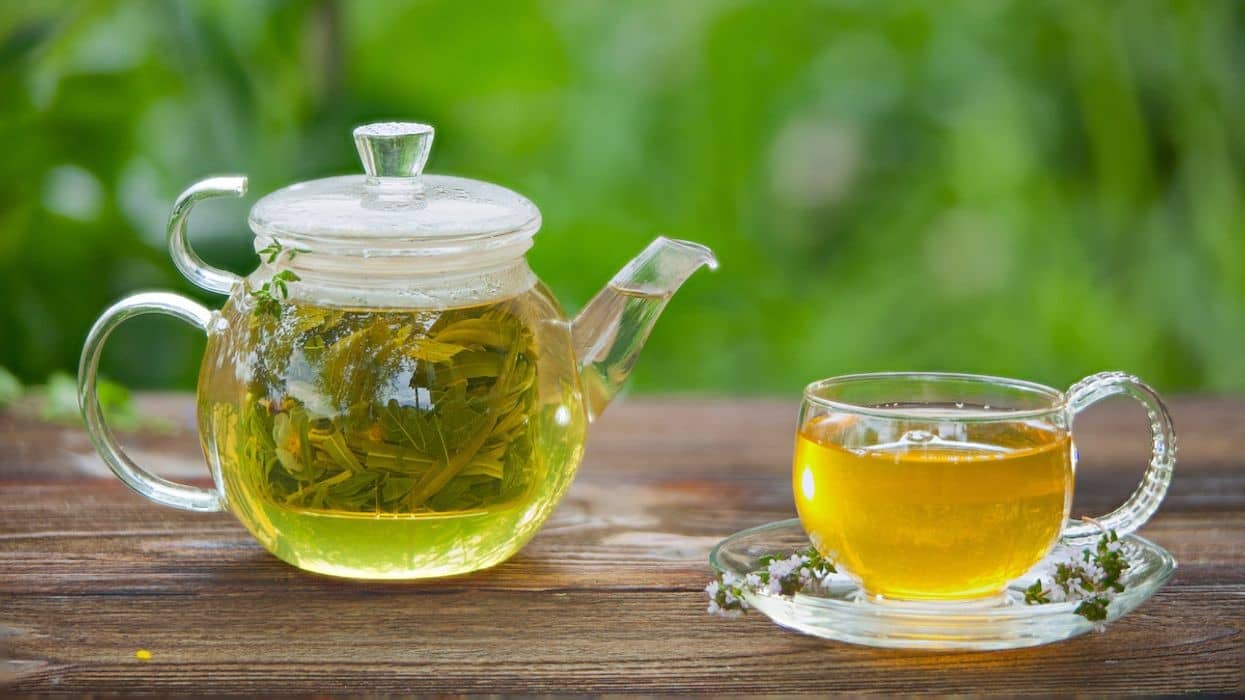 حقیقت در مورد خواص چای سبز برای کاهش وزن مجله خبری تینامو