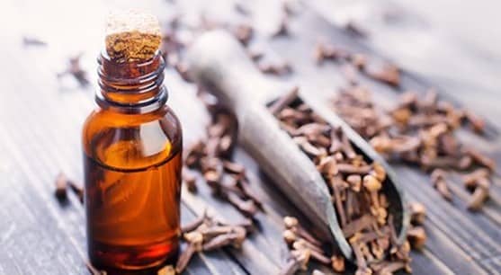 کاربرد روغن میخک و خواص آن