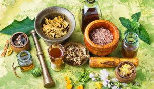 تهیه مواد و فراورده های گیاهی