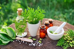 تهیه مواد و فراورده های گیاهی