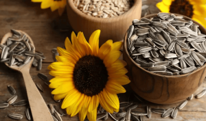 تقویت سیستم ایمنی بدن